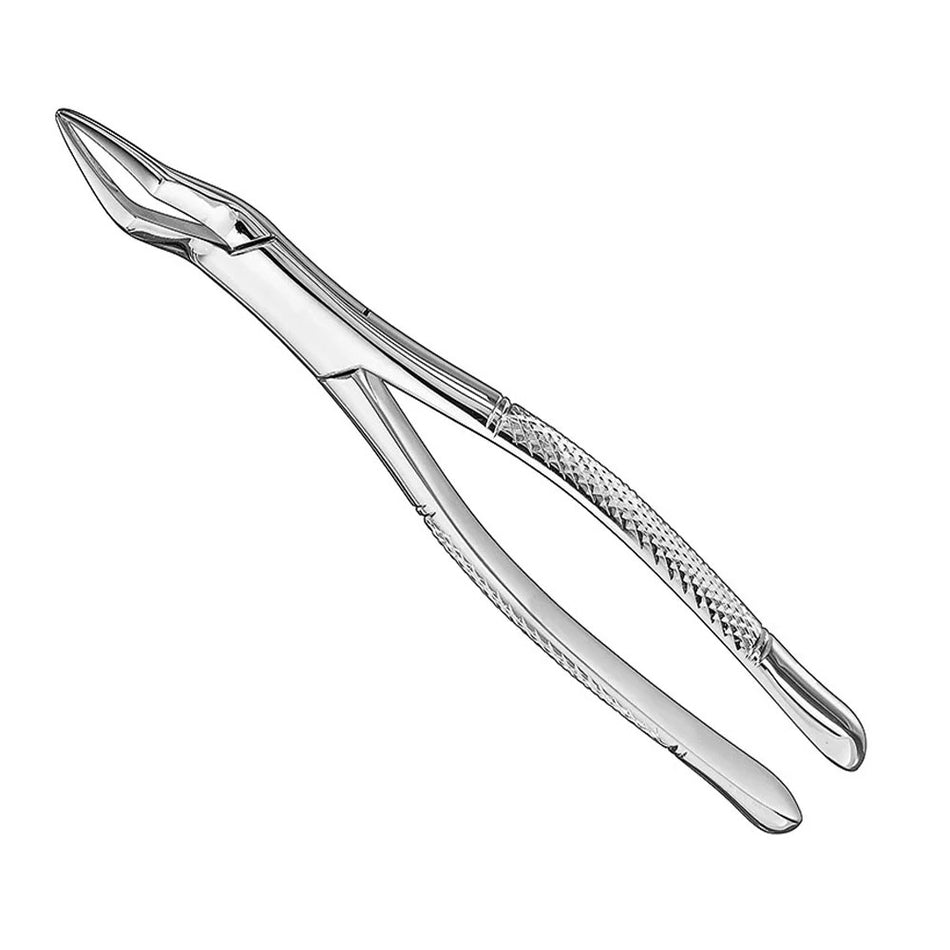 Extracting forceps, american patt., Size. 65 – American Pattern | Surgix Instruments