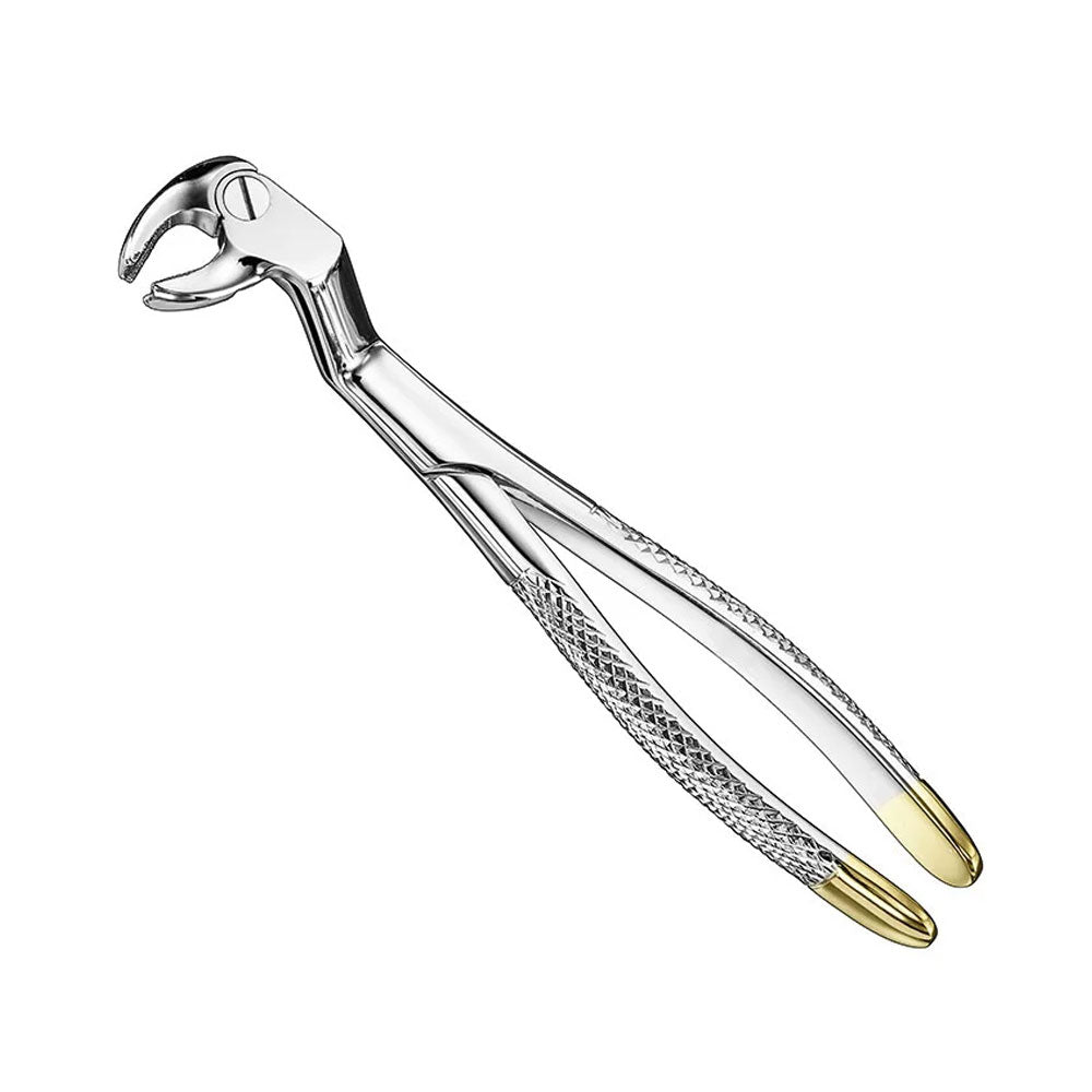 ROUTURIER, Extraction Forceps., engl., SizeL, diamond – English Pattern Standard | Surgix Instruments
