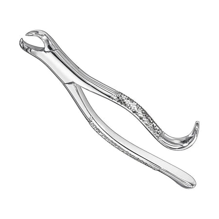 Extracting forceps, american patt., Size16 – American Pattern | Surgix Instruments
