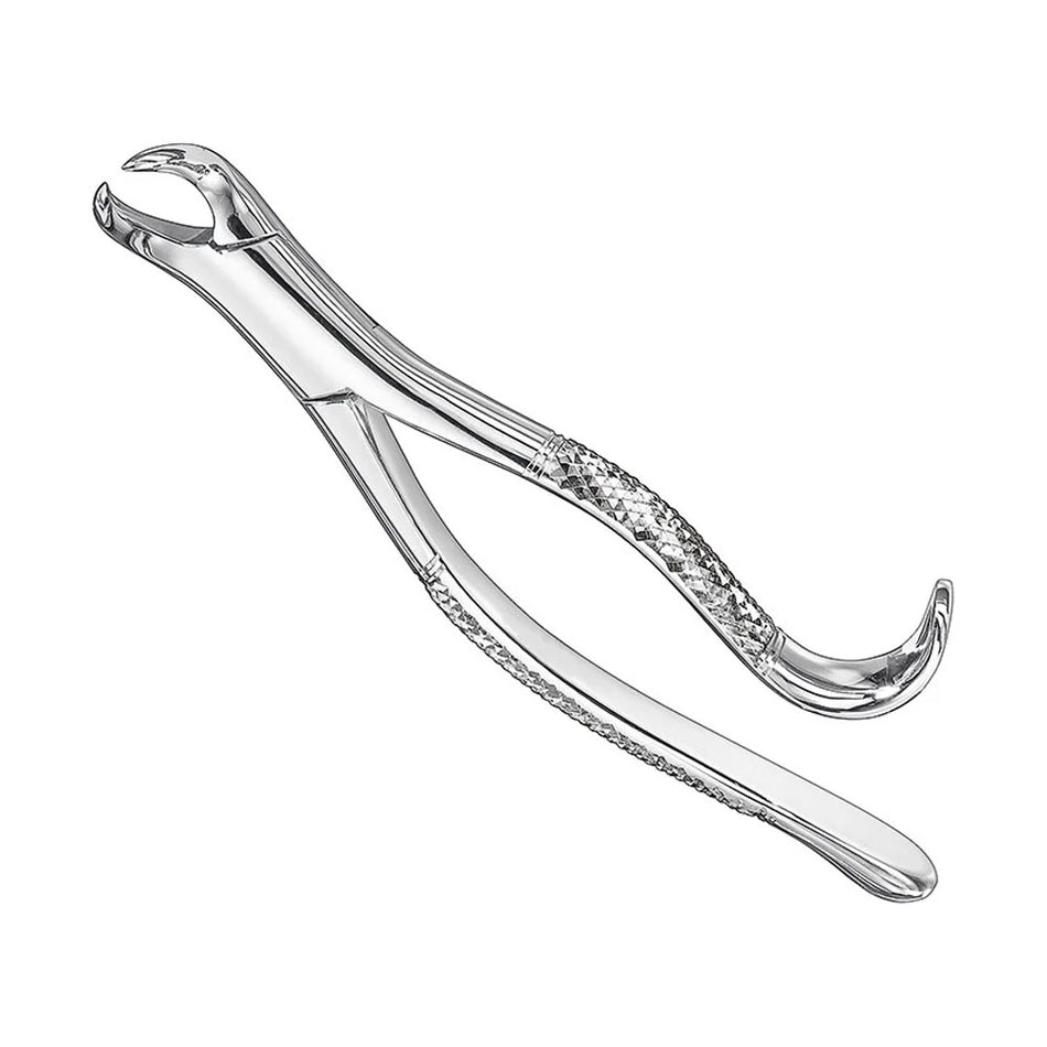 Extracting forceps, american patt., Size16 – American Pattern | Surgix Instruments