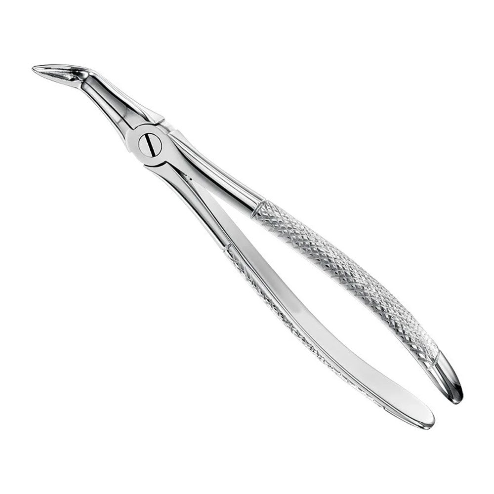 Extracting forceps, engl. patt., size 46L – English Pattern Standard | Surgix Instruments