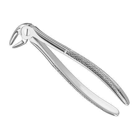 Extract.forceps, engl.patt., Size13, nonslip – English Pattern Haftprofil (HP) | Surgix Instruments