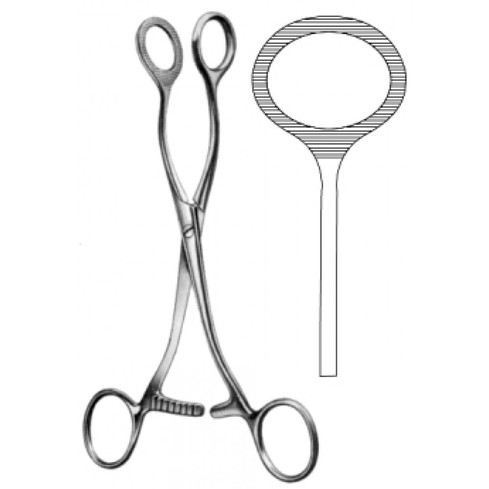 Collin Tongue and Organ Holding Forceps 17cm - Surgix Instruments Medical Stainless Steel Hemostatic Clamp