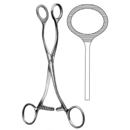Collin Tongue and Organ Holding Forceps 17cm - Surgix Instruments Medical Stainless Steel Hemostatic Clamp