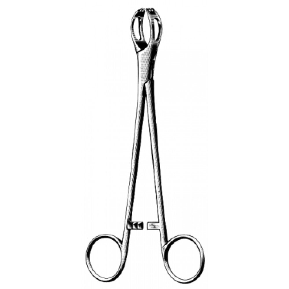 Lane Tissue Forceps 1x2 Teeth Teeth, 19cm, Fenestrated - Surgix Instruments Medical Stainless Steel Hemostatic Clamp