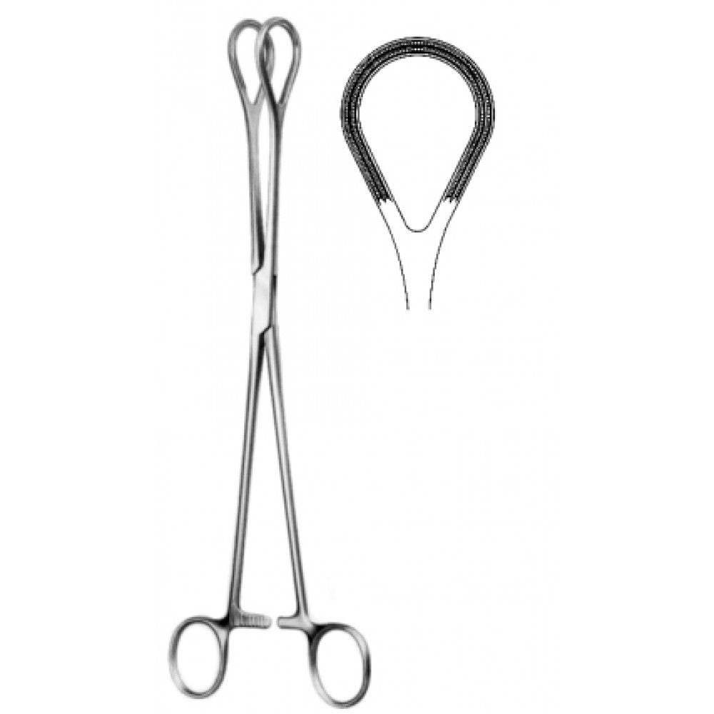 Tissue and Organ Holding Forceps Atrauma 26cm - Surgix Instruments Medical Stainless Steel Hemostatic Clamp