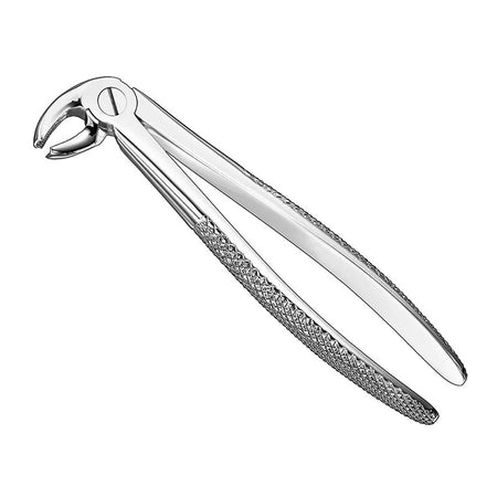 Extraction Forceps., engl.patt., Size2, nonsl., medium – English Pattern Haftprofil (HP) | Surgix Instruments