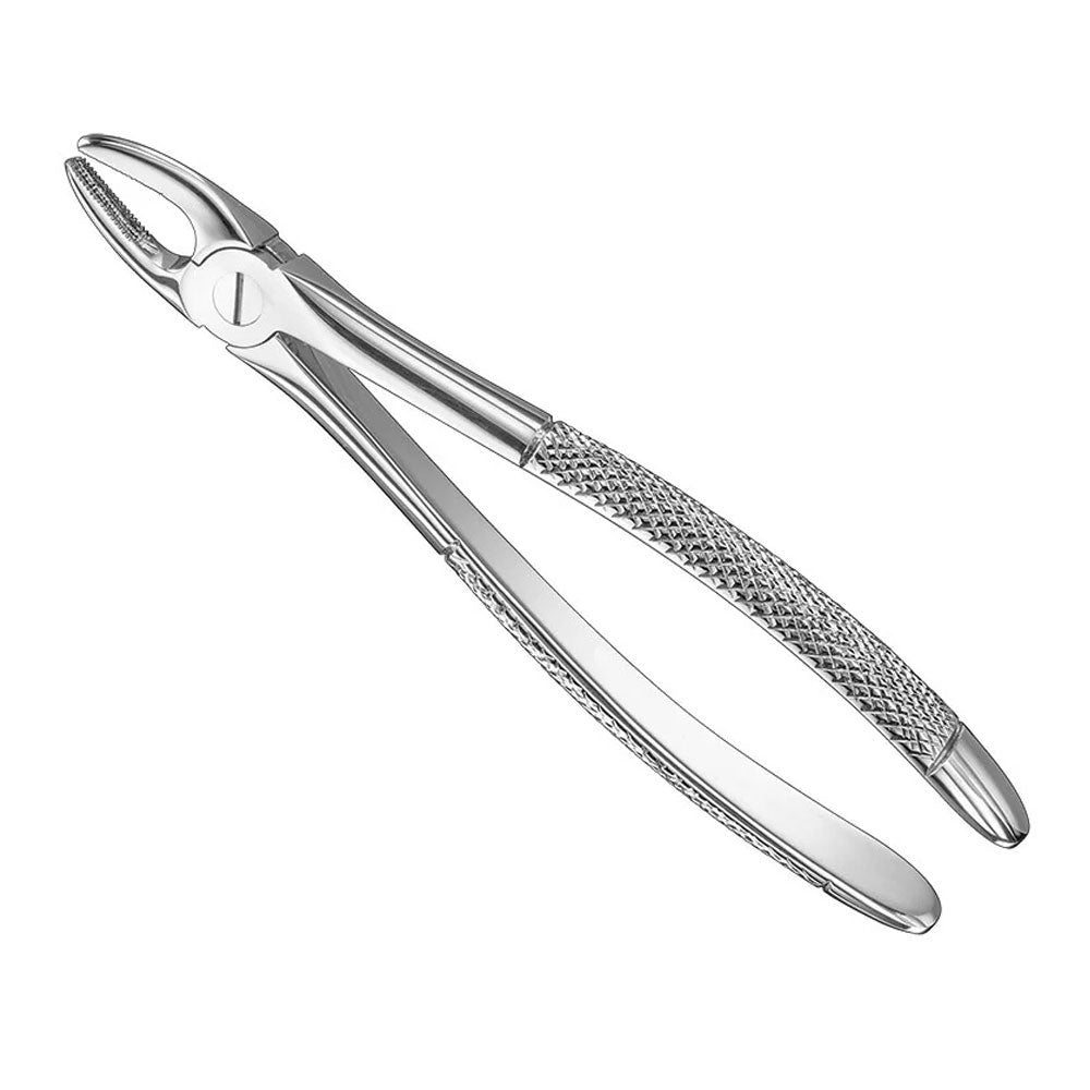 Extraction Forceps., engl.patt., Size2, nonsl., medium – English Pattern Haftprofil (HP) | Surgix Instruments