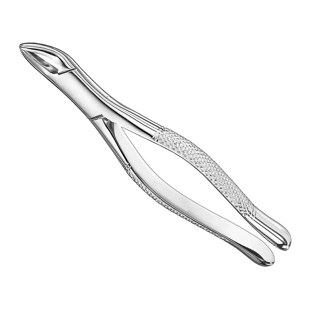 Extracting forceps, american patt., Size. 62 – American Pattern | Surgix Instruments