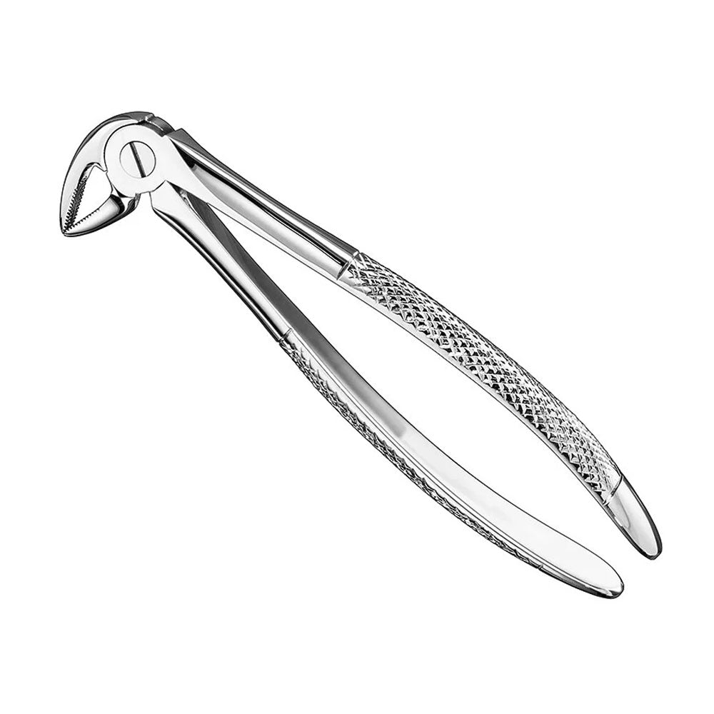 Extraction Forceps., engl.patt., Size33, nonslip – English Pattern Haftprofil (HP) | Surgix Instruments