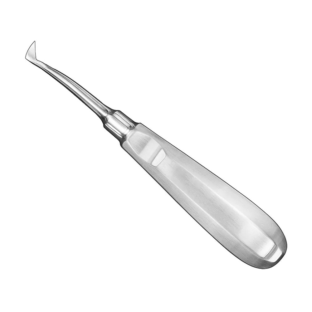 SELDIN 4R, root elevator, angled – Root Elevators | Surgix Instruments