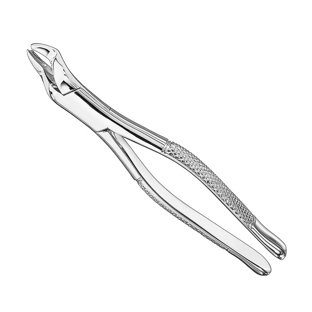 Extracting forceps, american patt., Size53R – American Pattern | Surgix Instruments