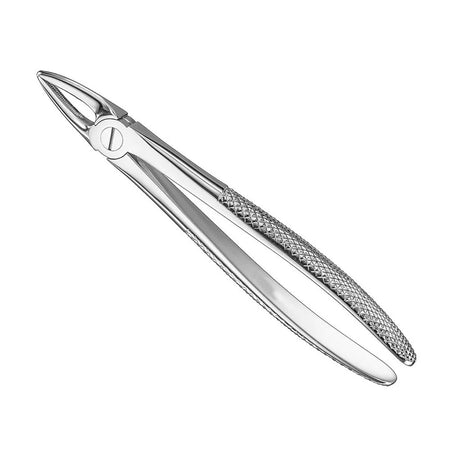 Extraction Forceps., engl.patt., Size29, nonsl., med – English Pattern Haftprofil (HP) | Surgix Instruments