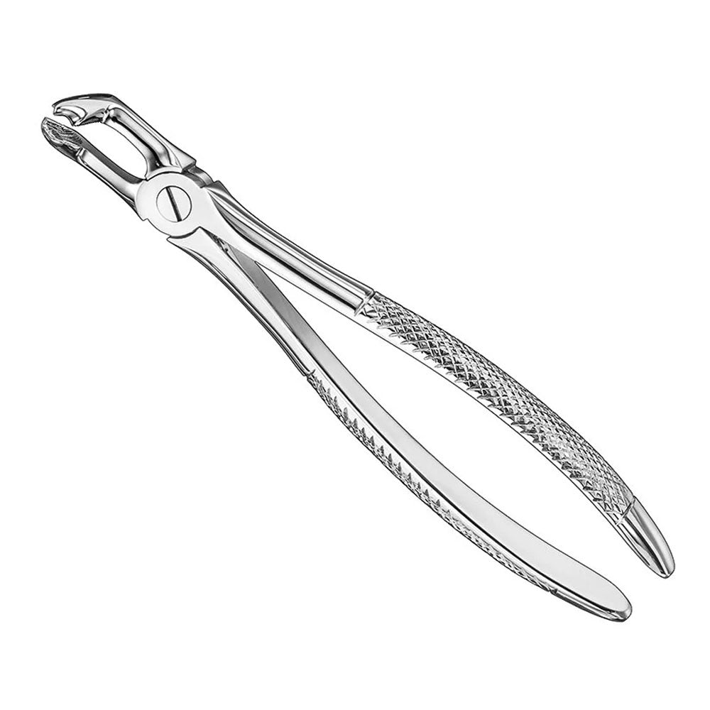 Extracting forceps, engl. patt., size 79 – English Pattern Standard | Surgix Instruments
