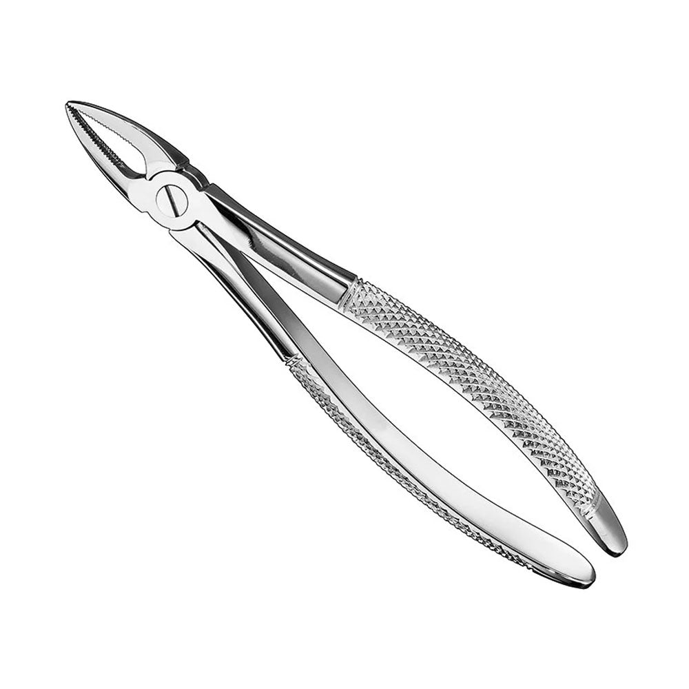Extraction Forceps., engl.patt., Size29, nonslip – English Pattern Haftprofil (HP) | Surgix Instruments