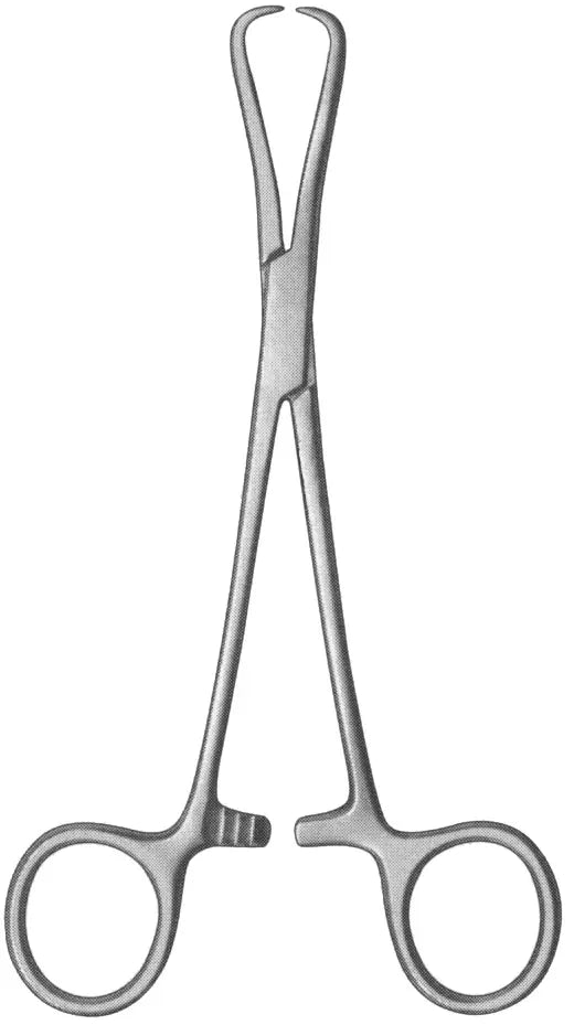 Glenoid Perforating Bone Holding and Reduction Forceps