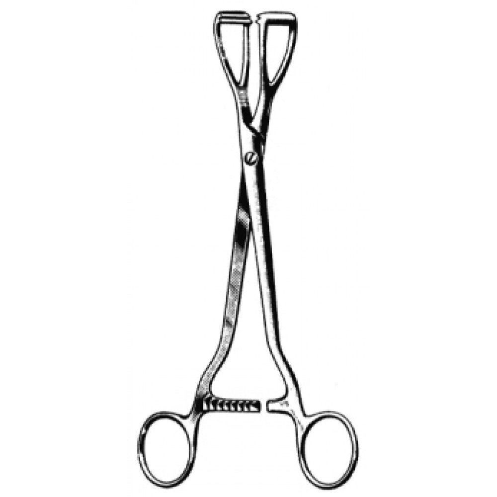 Young Lobe Holding Forceps 20cm – Surgix Instruments Urology Instrument, SKU 58.0146.20