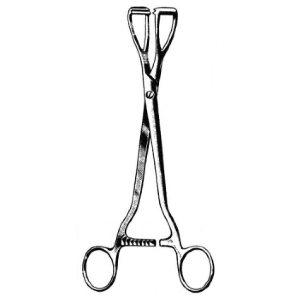 Young Lobe Holding Forceps 20cm – Surgix Instruments Urology Instrument, SKU SGX-100891