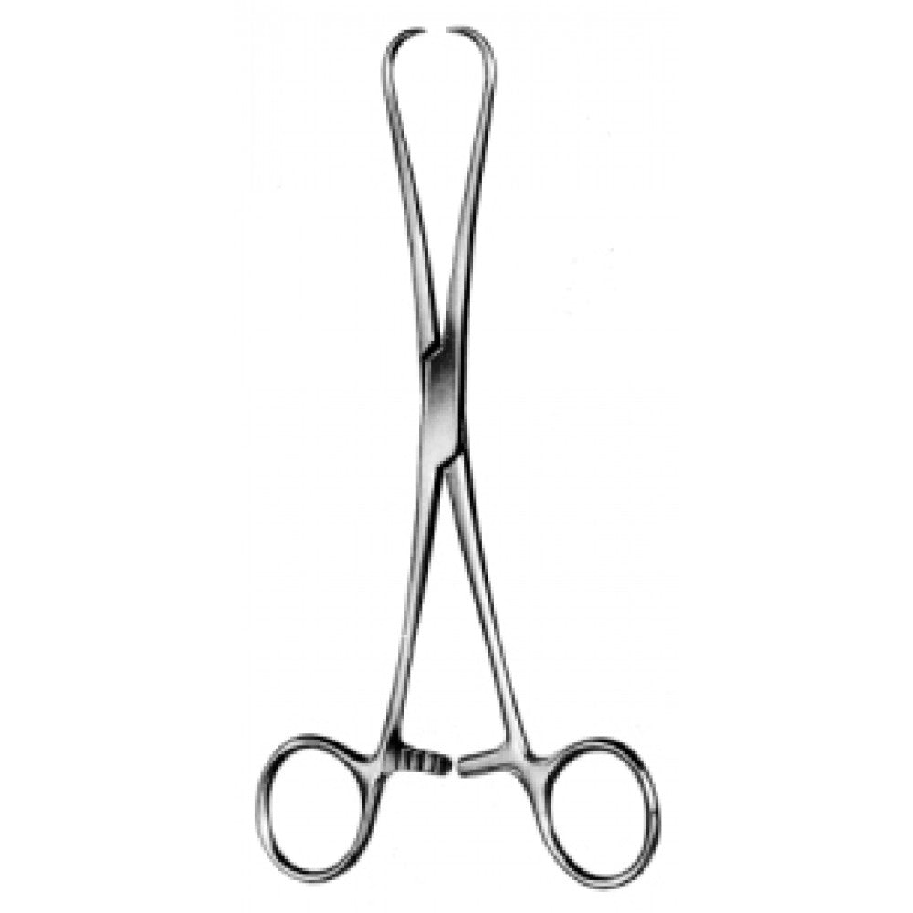 Staude-Moore Tenaculum Fcps strong pattern 17cm – Surgix Instruments tenaculum forceps, SKU 60.0550.17