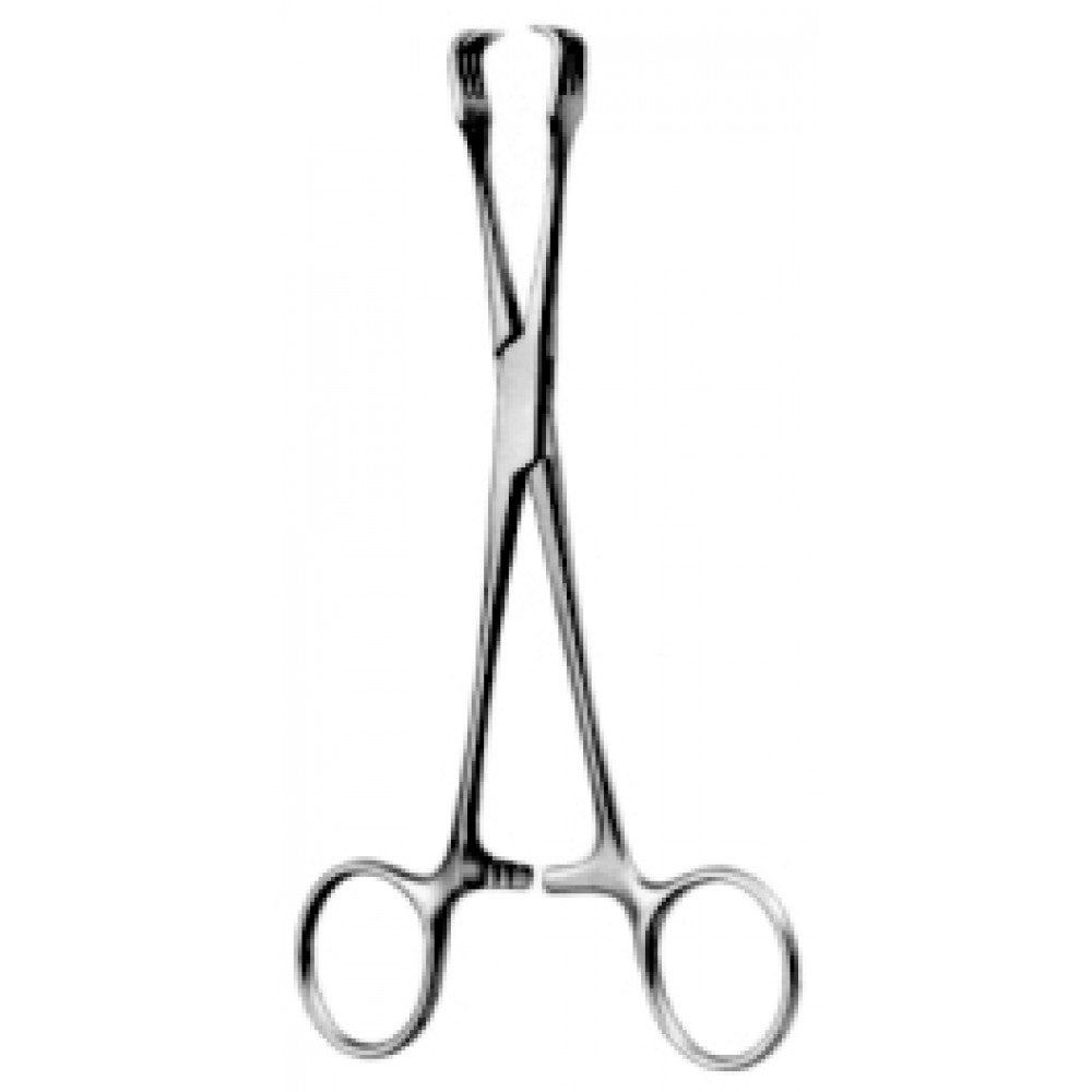 Braun Organ and Tissue Grasping Fcps 16cm – Surgix Instruments uterine holding and grasping forceps, SKU 60.0654.15