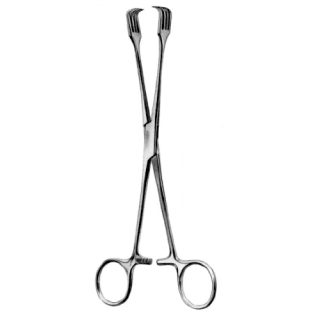 Czerny Organ and Tissue Grasping Fcps 20cm – Surgix Instruments uterine holding and grasping forceps, SKU 60.0660.20