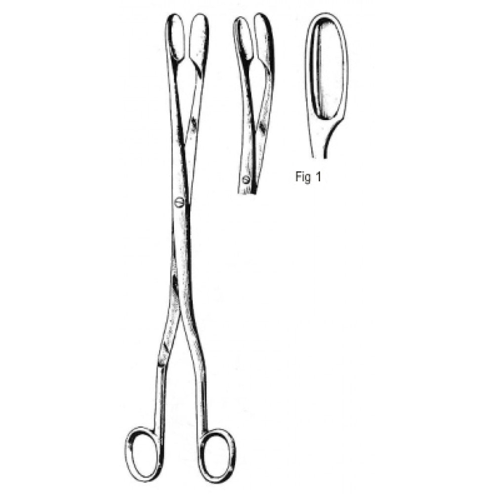 Winter Placenta and Ovum Forceps Straight Fig.1, 28cm – Surgix Instruments obstetrics instrument, SKU 62.0420.01