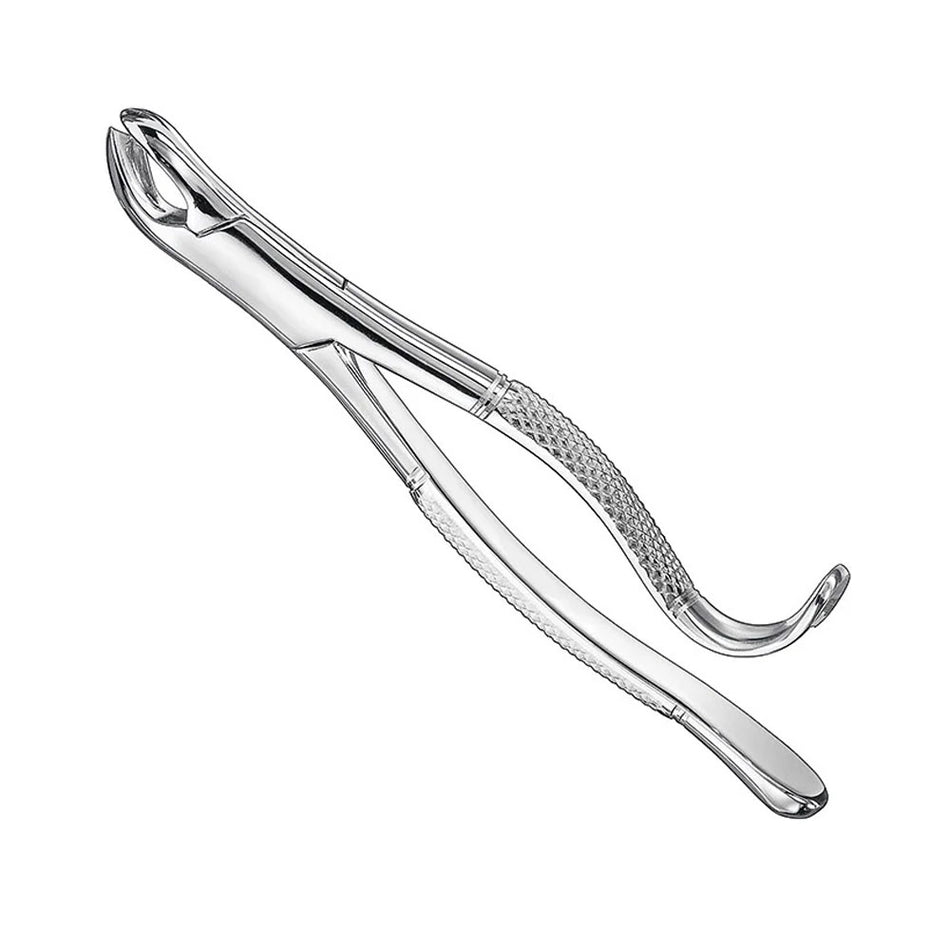 Extracting forceps, american patt., Size24 – American Pattern | Surgix Instruments