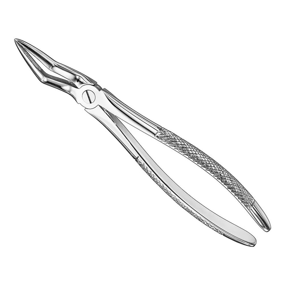 Extracting forceps, engl. patt., size 51L – English Pattern Standard | Surgix Instruments