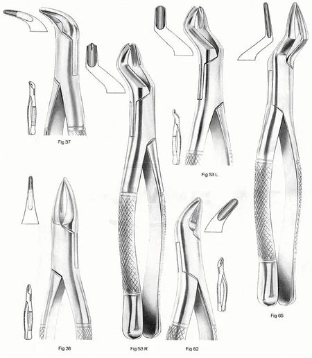 Extracting Forcep, Upper Molars, American Pattern, Left, Fig.53L – Surgix Instruments dental instrument, SKU 110-039-53L