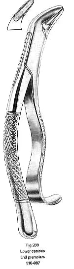 Extracting Forcep, Lowe Canines and Premolars Extracting Focep, Fig.288 – Surgix Instruments dental instrument, SKU 110-087-288