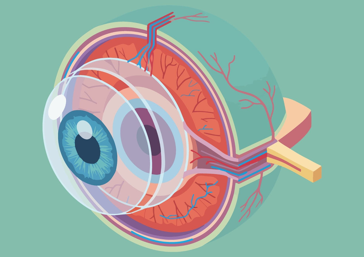 ophthalmology instruments manufacturer and supplier - surgix