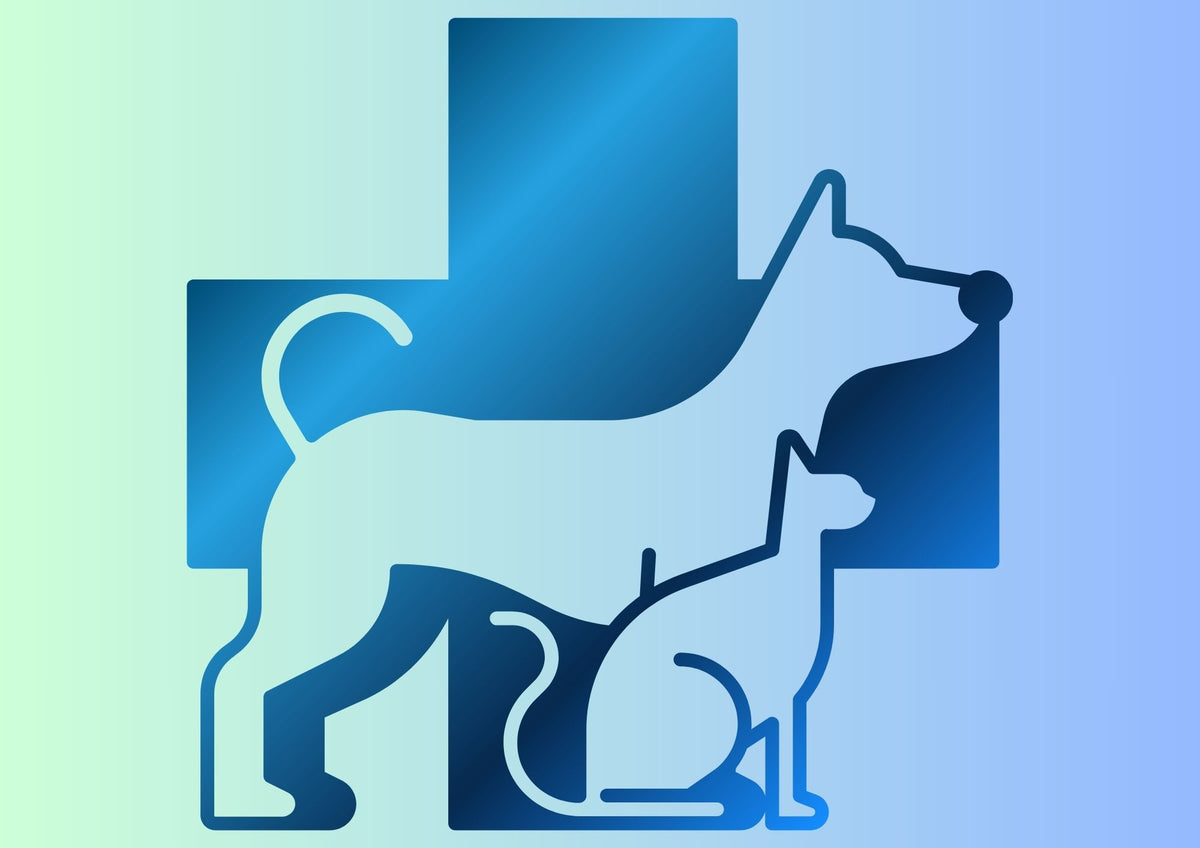 veterinary instruments manufacturer and supplier - surgix